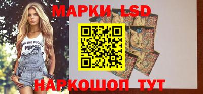 прущие грибы Партизанск