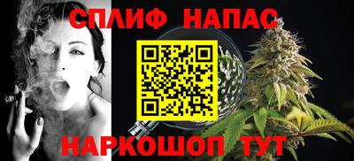 прущие грибы Партизанск