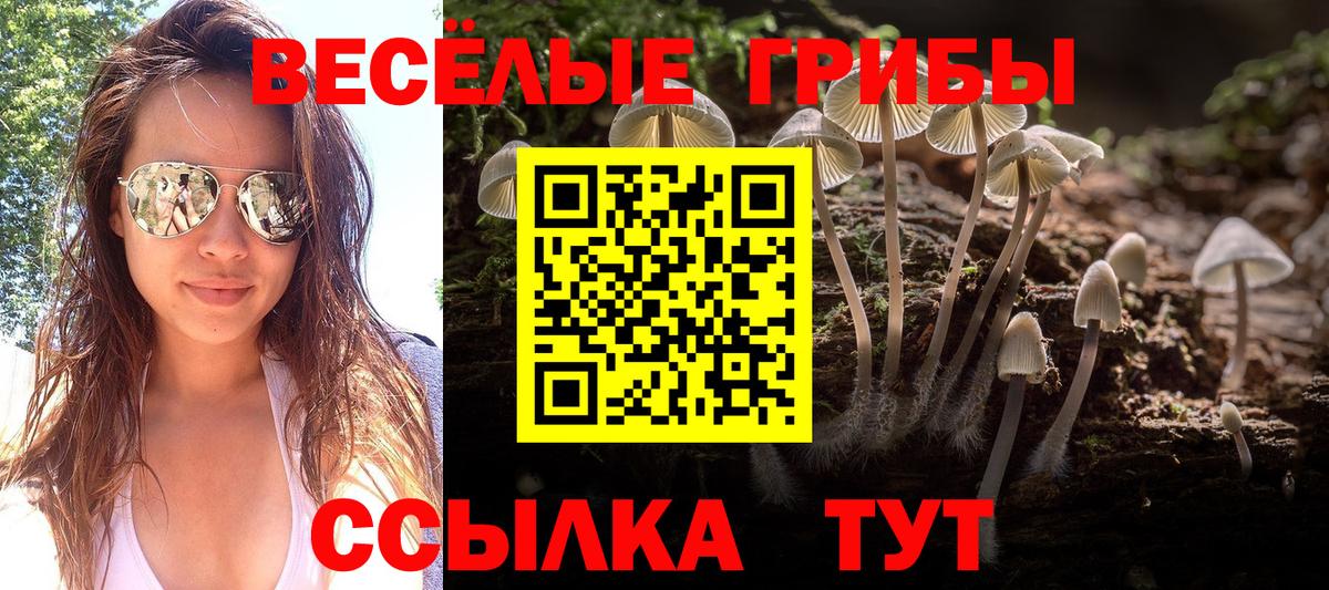 Галлюциногенные грибы мухоморы Приморско-Ахтарск