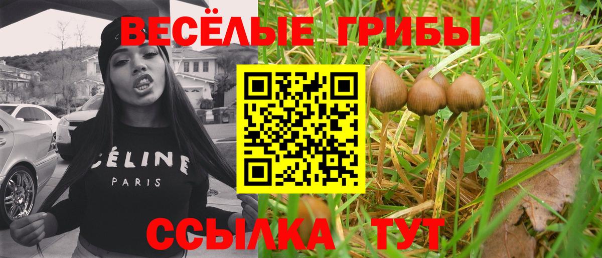Галлюциногенные грибы Psilocybe  Псилоцибиновые грибы ЛСД  Вход с VPN  Приморско-Ахтарск 